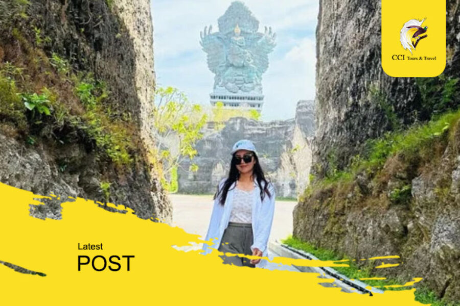 artikel cci tours & travel (1)