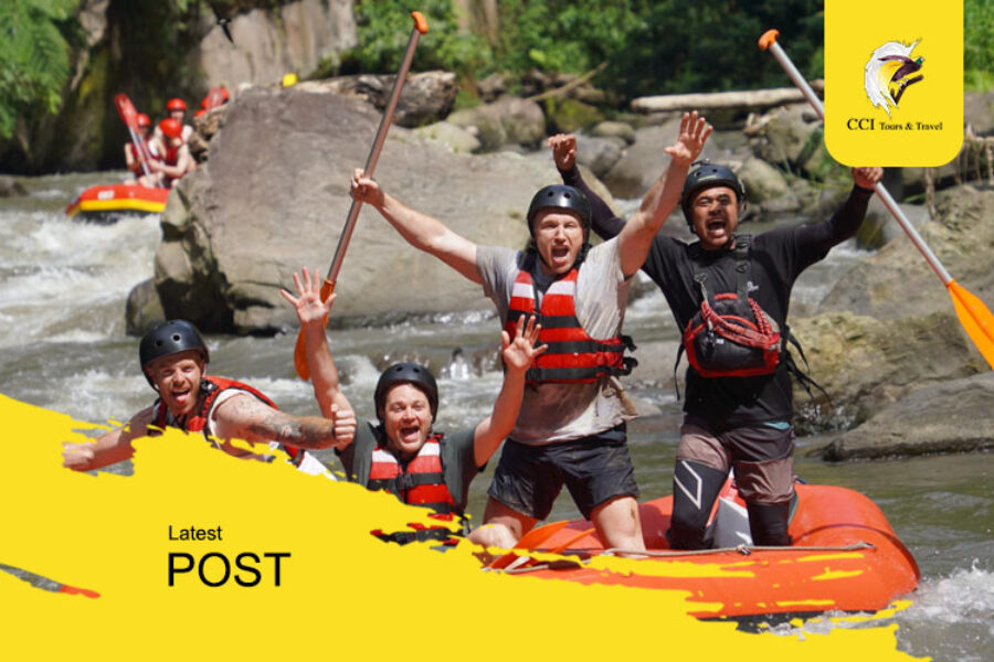 artikel cci tours & travel (4)
